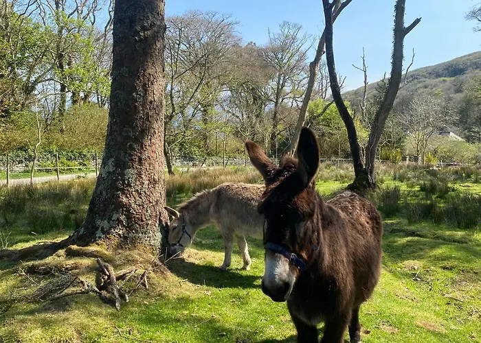 Ferienhaus Harbour View *