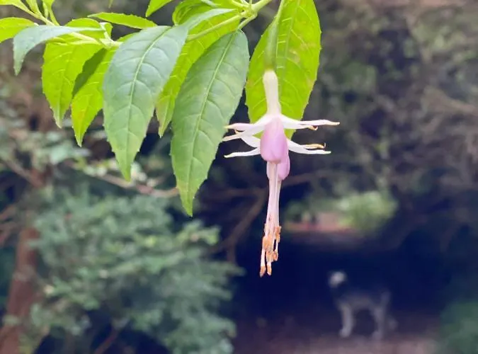 Ferienhaus Harbour View Knights Town
