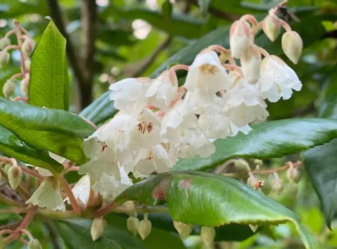 Ferienhaus Harbour View Knights Town