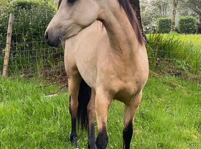 Holiday home Harbour View
