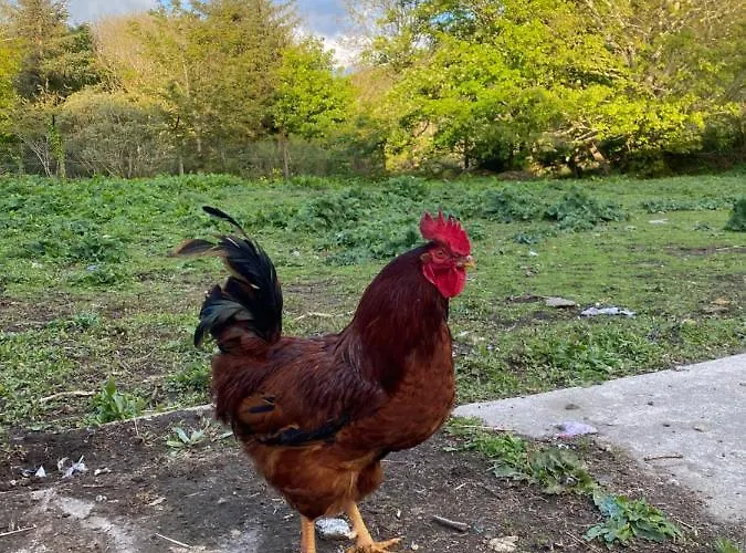 Holiday home Harbour View Knights Town