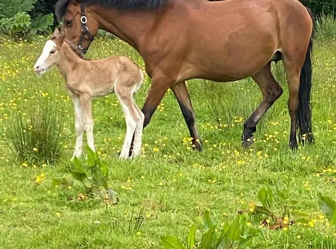Ferienhaus Harbour View Knights Town
