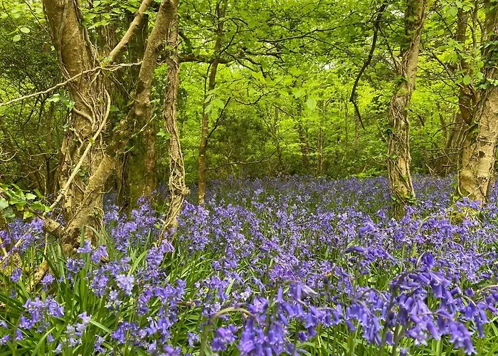 Harbour View Ferienhaus
